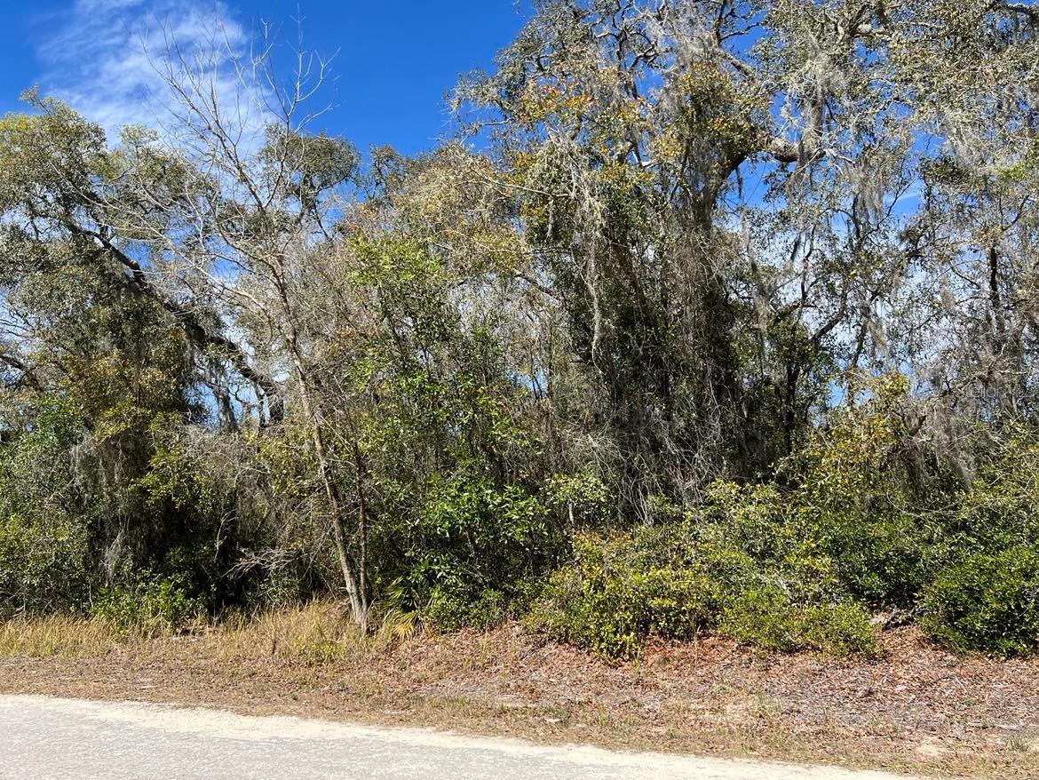 0 Riverstone St #lot #26 Property Photo 4