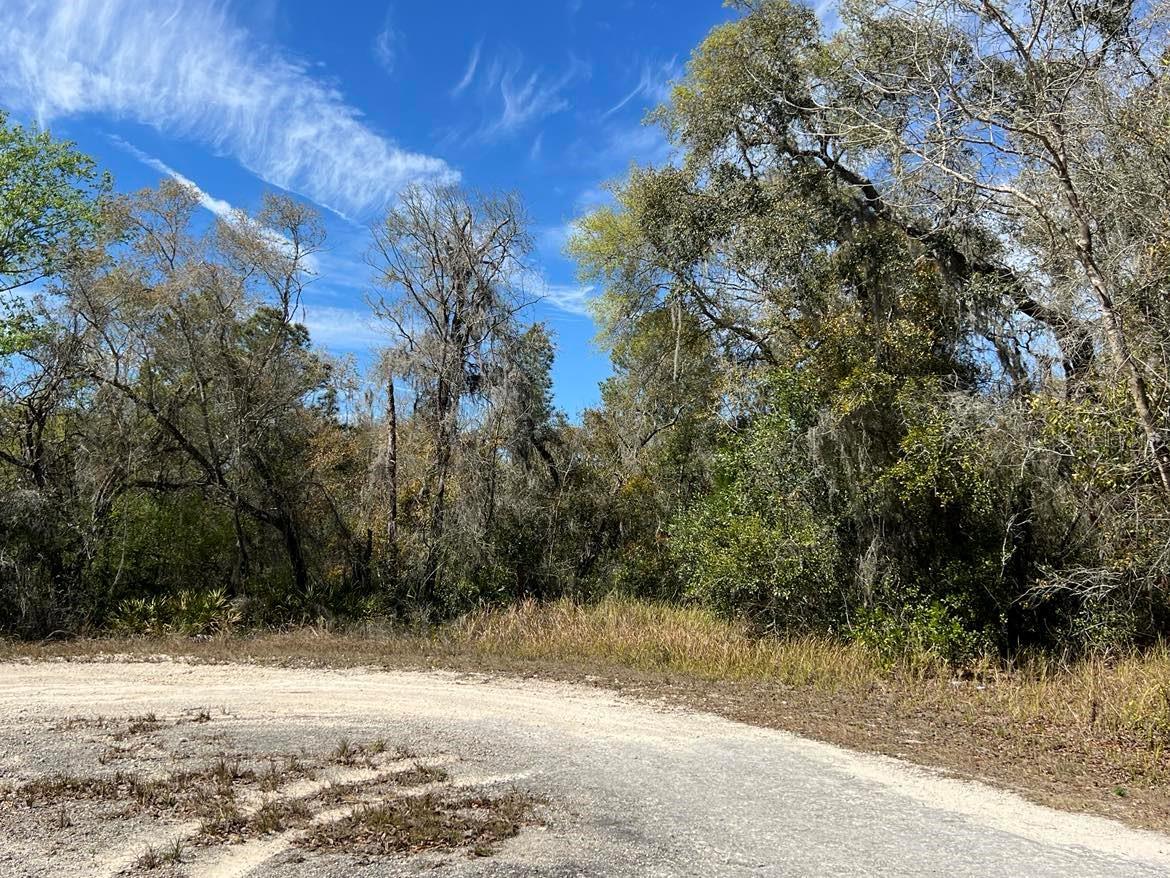 0 Riverstone St #lot #26 Property Photo 5