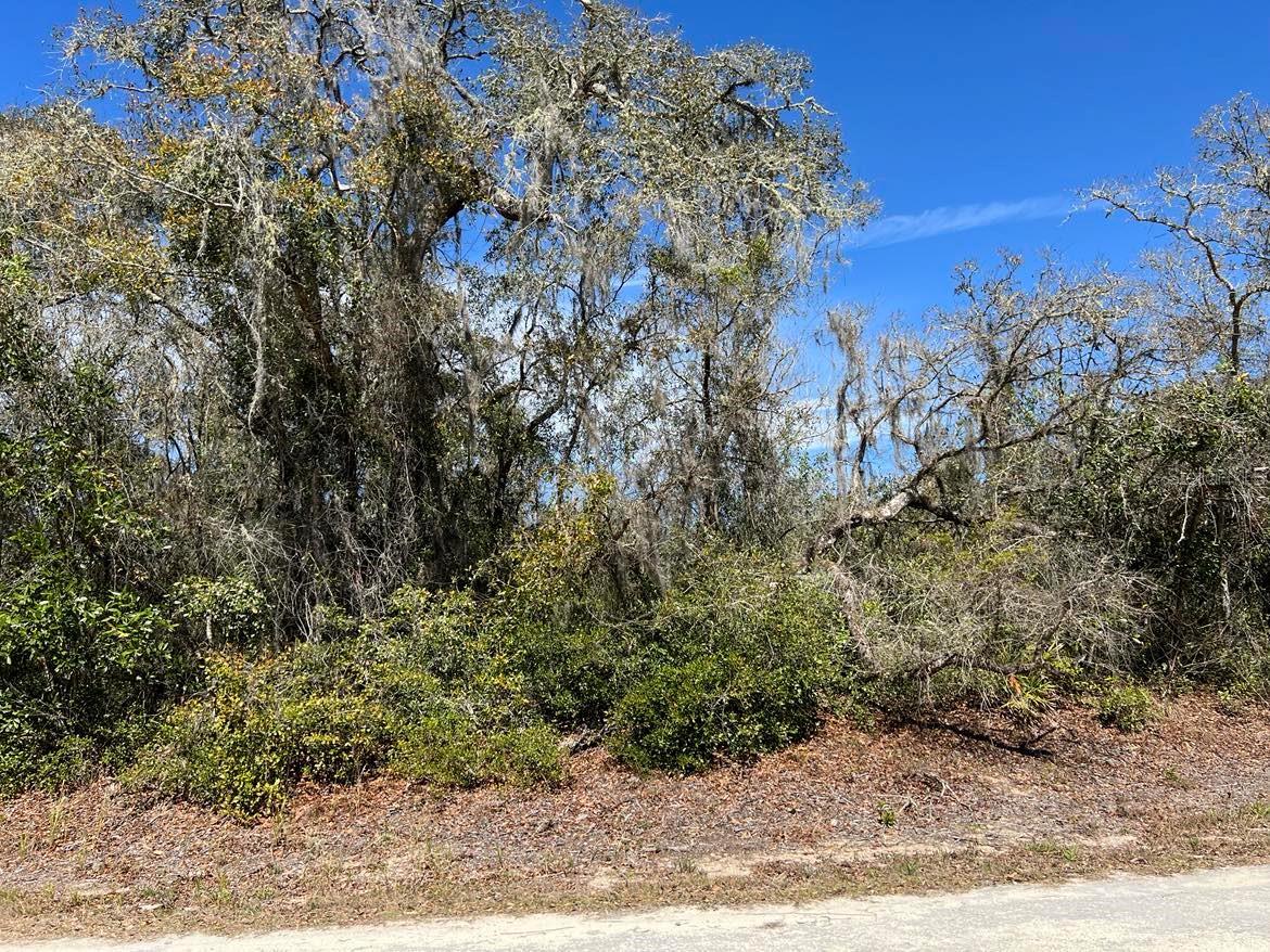 0 Riverstone St #lot #26 Property Photo 6
