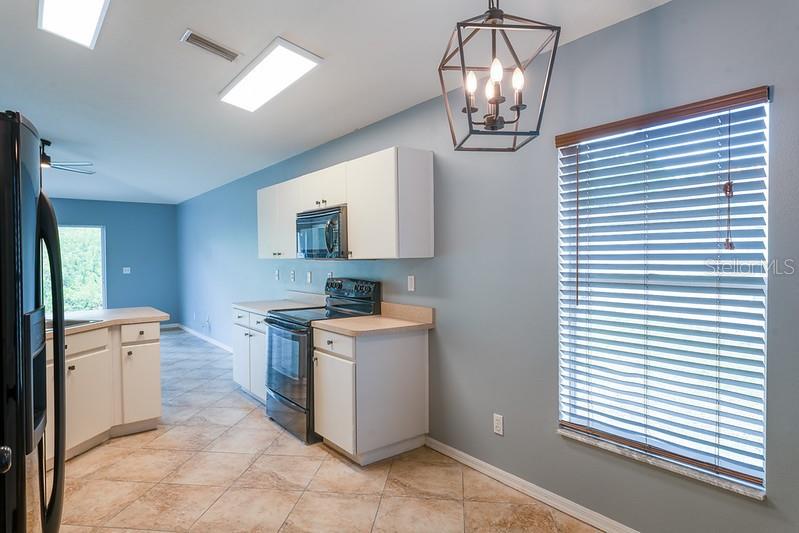 11236 Summer Star Dr Property Photo 12