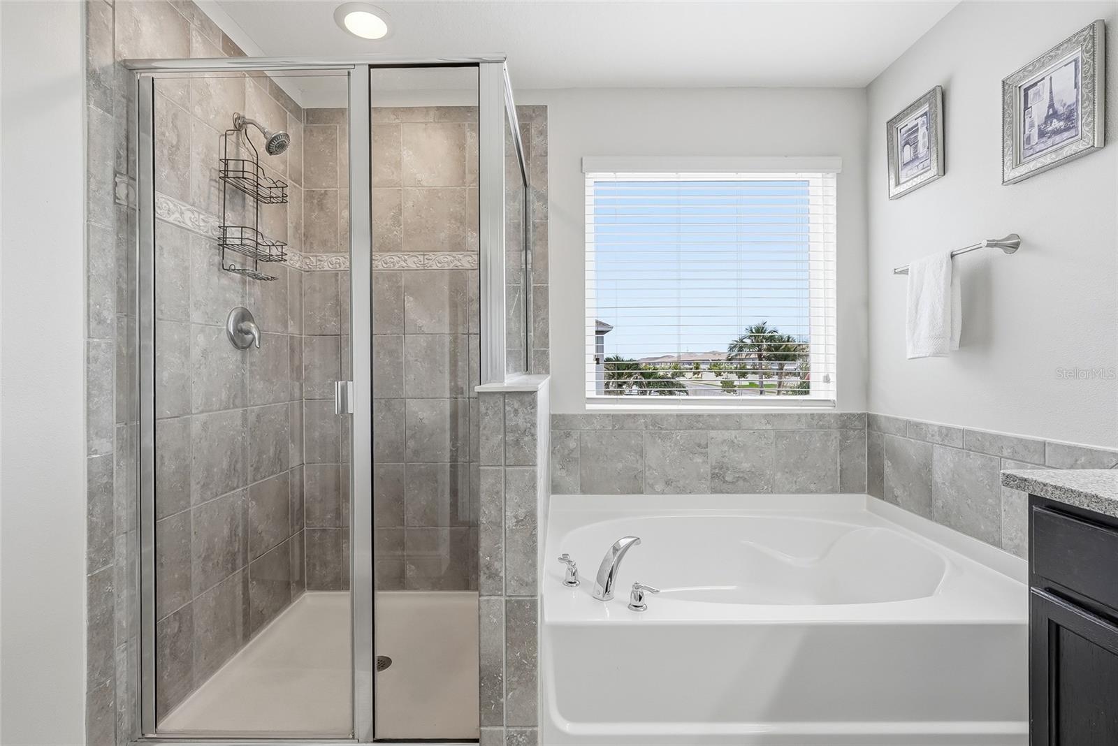 10229 Newminster Loop Property Photo 28