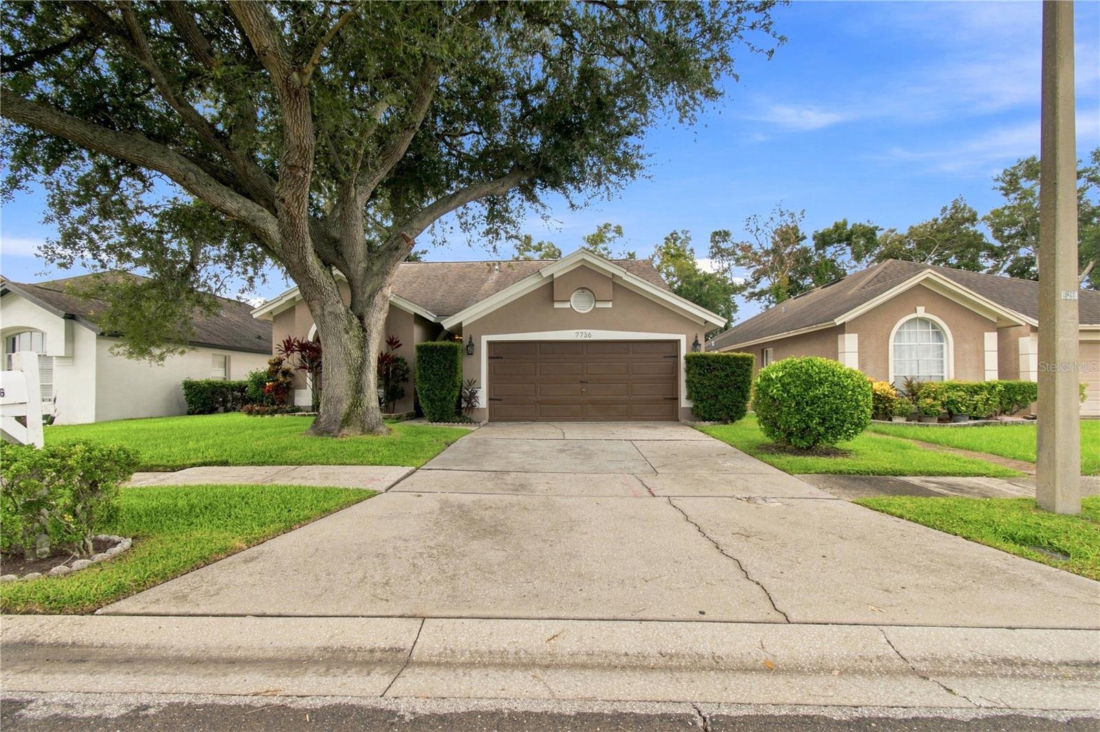 7736 Marbella Creek Ave Property Photo 2