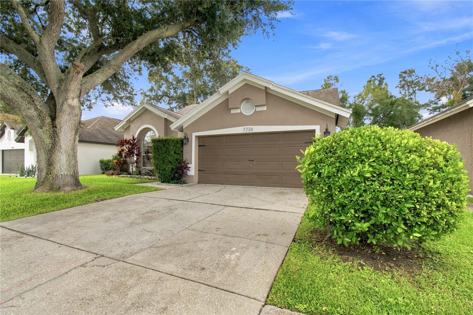 7736 Marbella Creek Ave Property Photo 3
