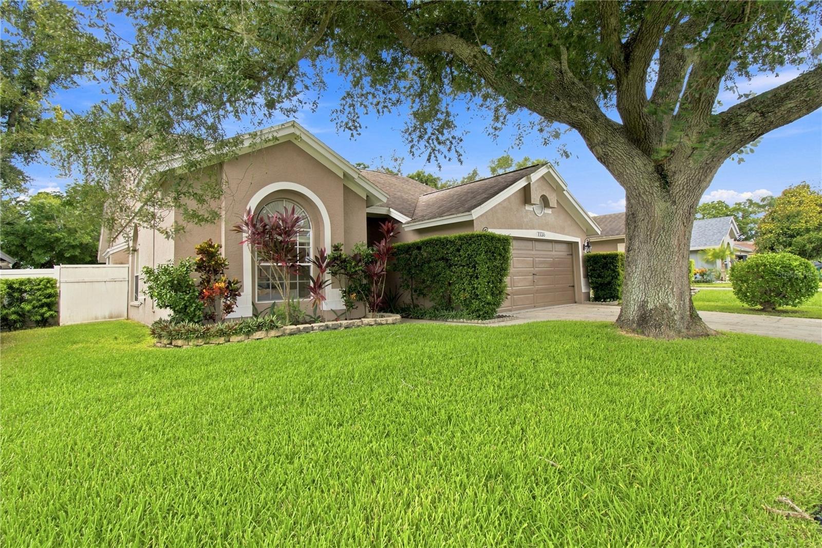 7736 Marbella Creek Ave Property Photo 5