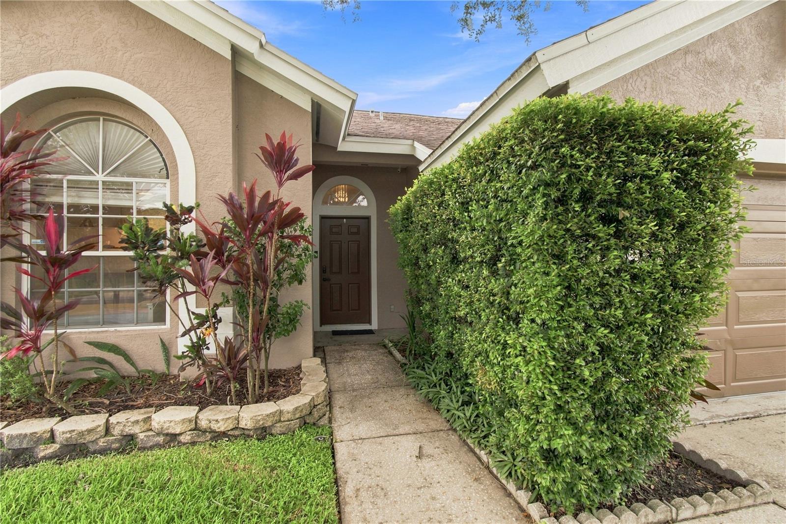 7736 Marbella Creek Ave Property Photo 6