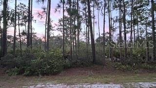 116 (BLK 62 LOT 8) CAMELLIA DR Property Photo 1