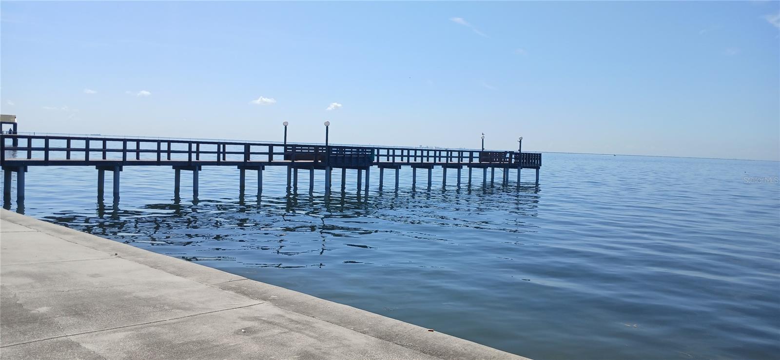 650 Pinellas Point Dr S #110 Property Photo 32