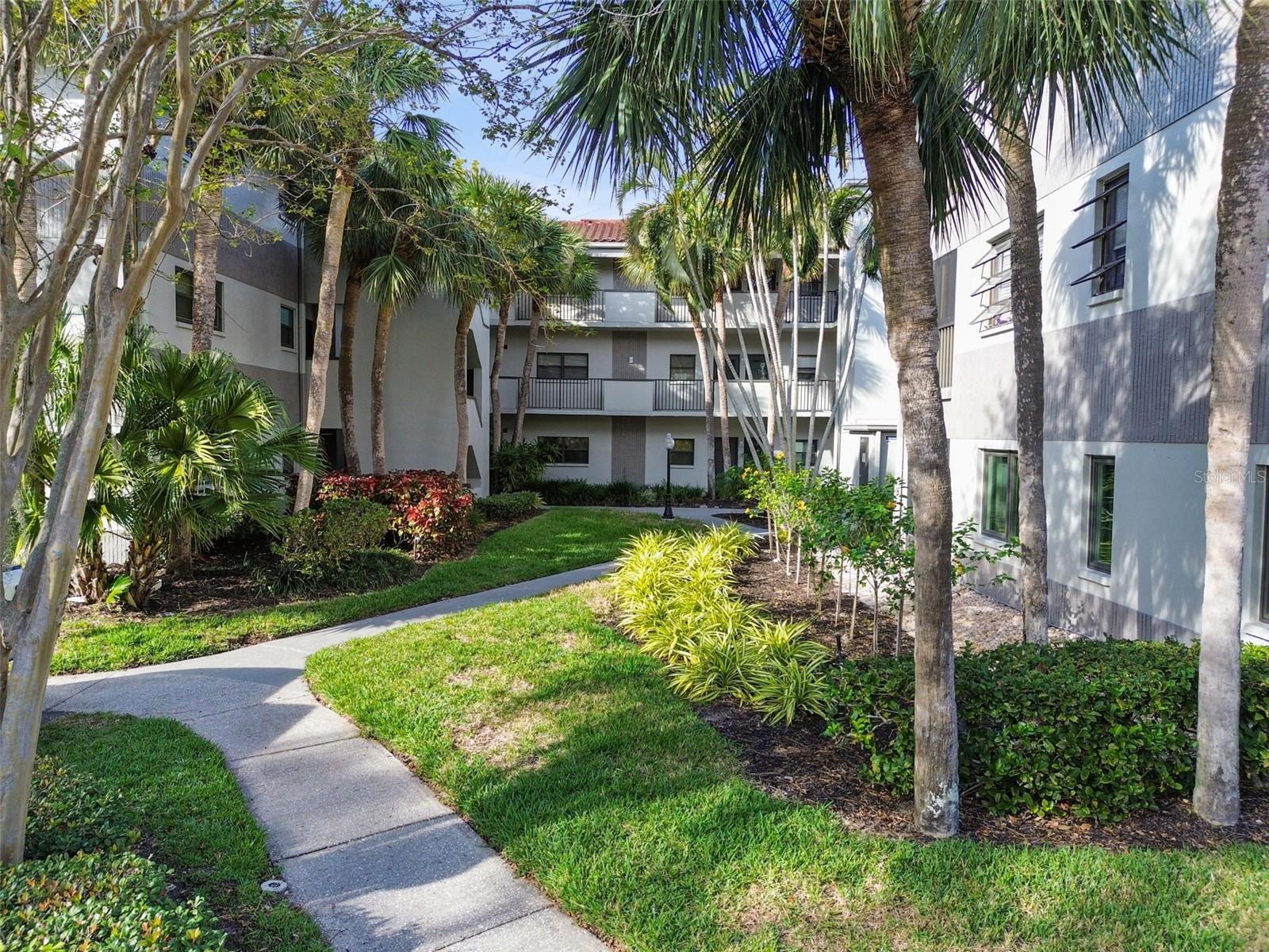2650 Countryside Blvd #c309 Property Photo 41