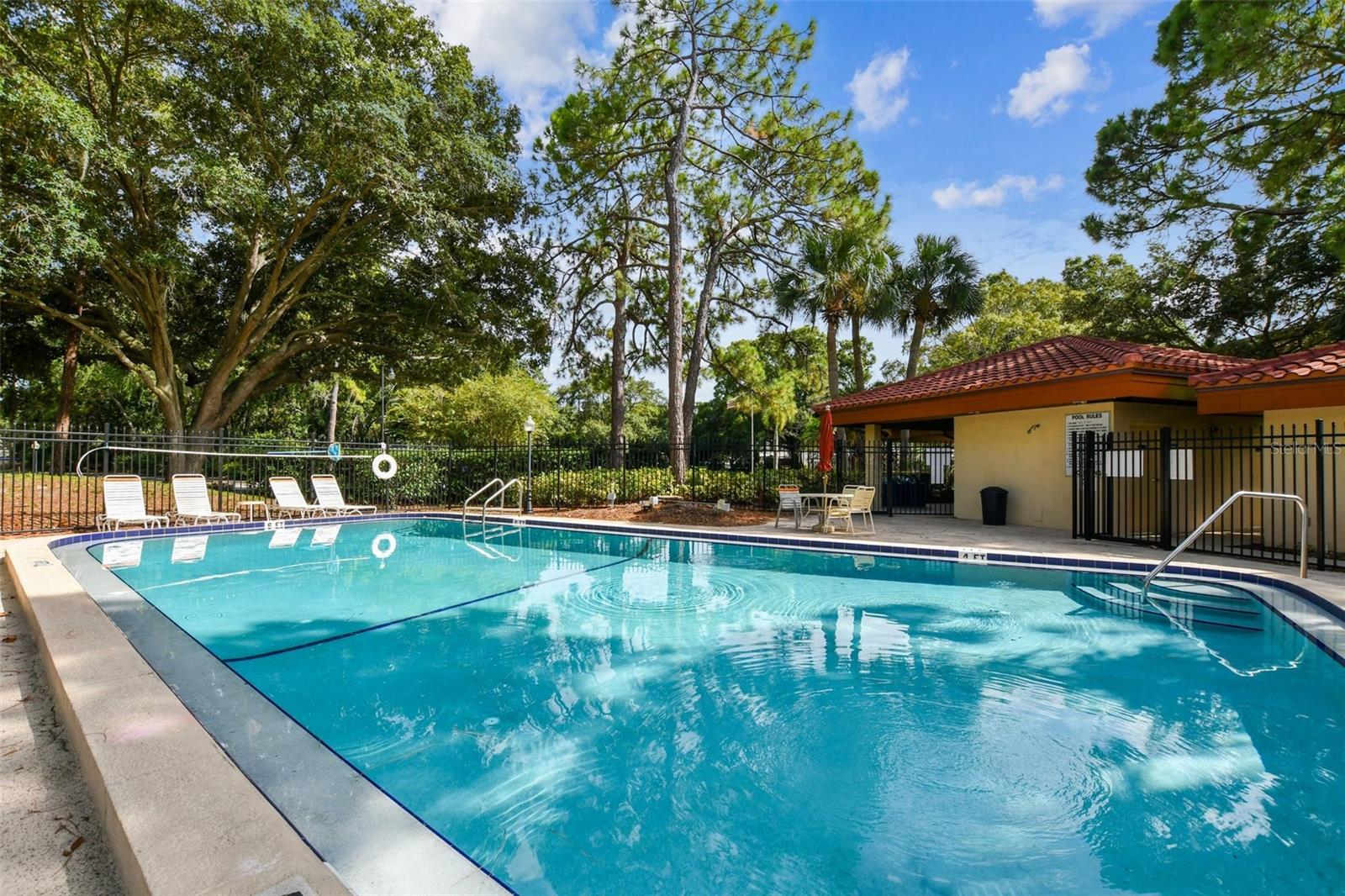 2650 Countryside Blvd #c309 Property Photo 46