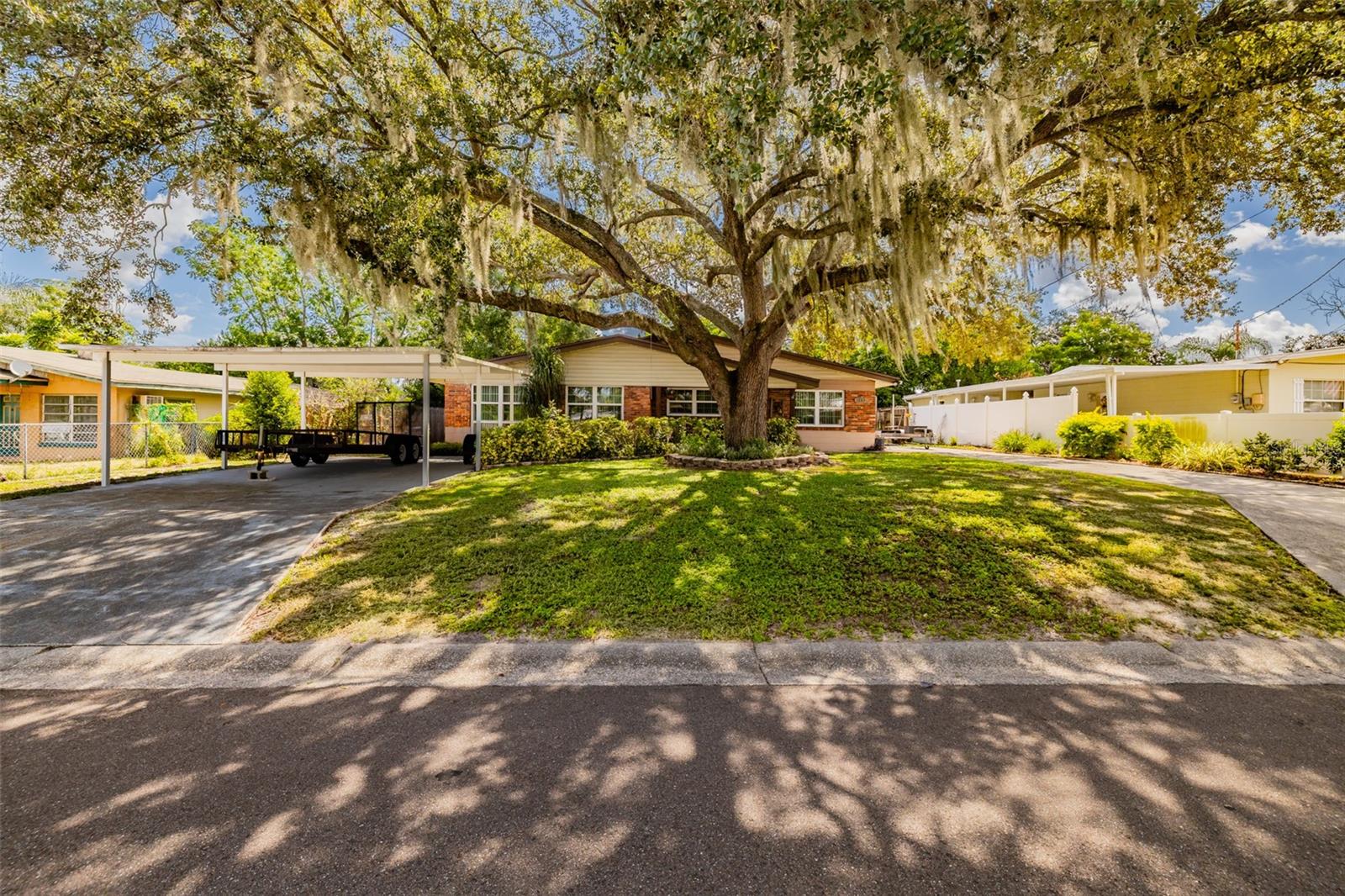 1205 W Camellia Dr Property Photo 3