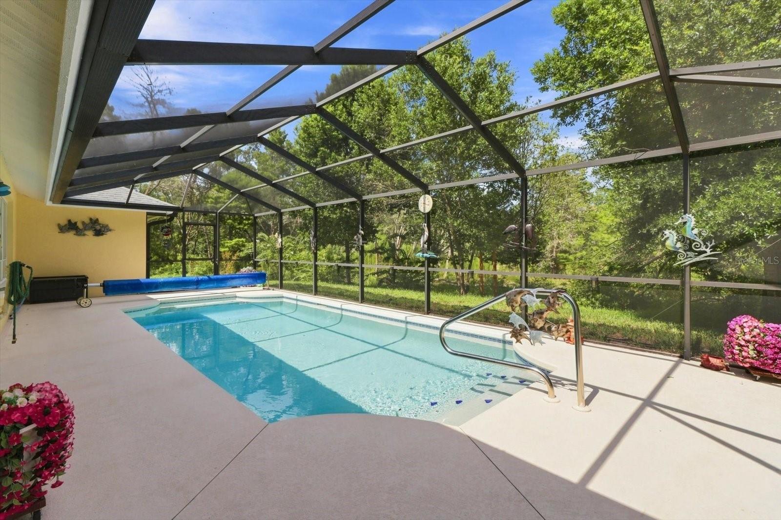 6 Dusty Miller Ct Property Photo 35