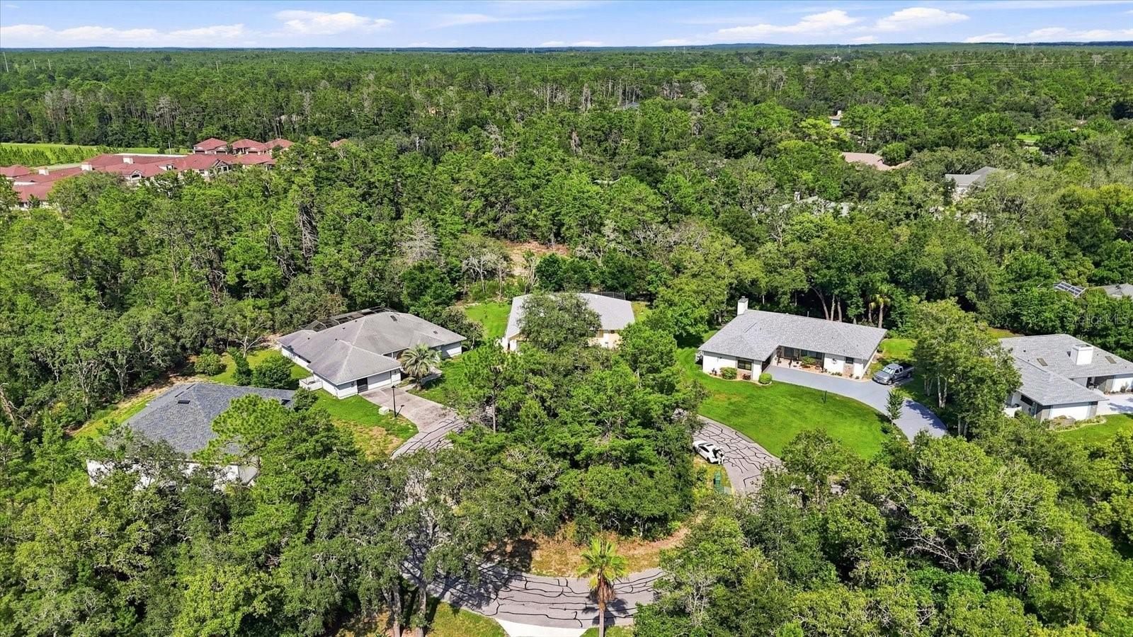 6 Dusty Miller Ct Property Photo 42