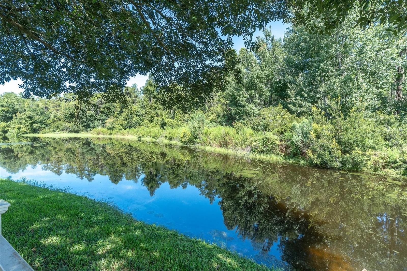 1307 Ketzal Dr Property Photo 46