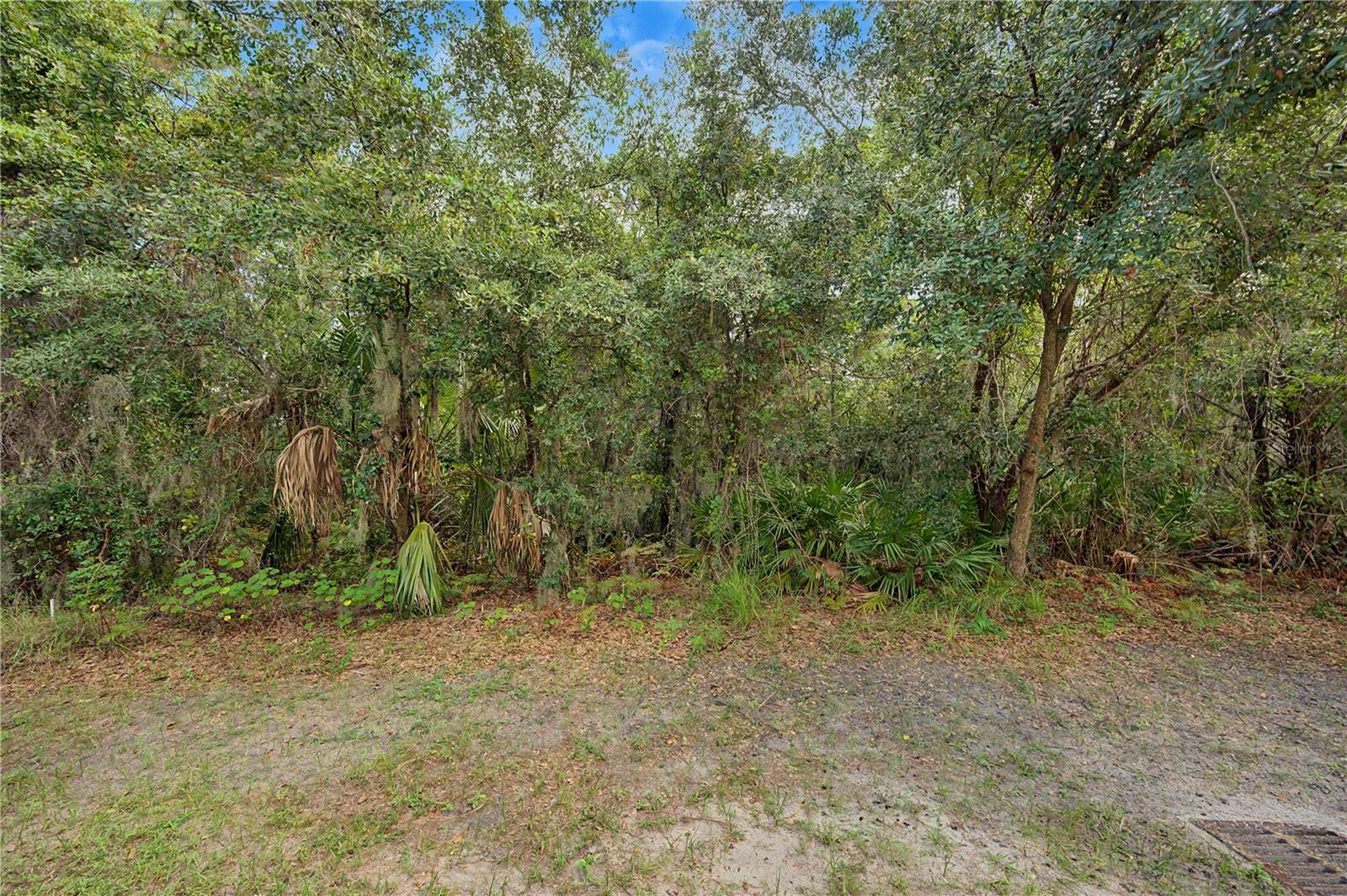 6914 Holly Heath Dr Property Photo 29