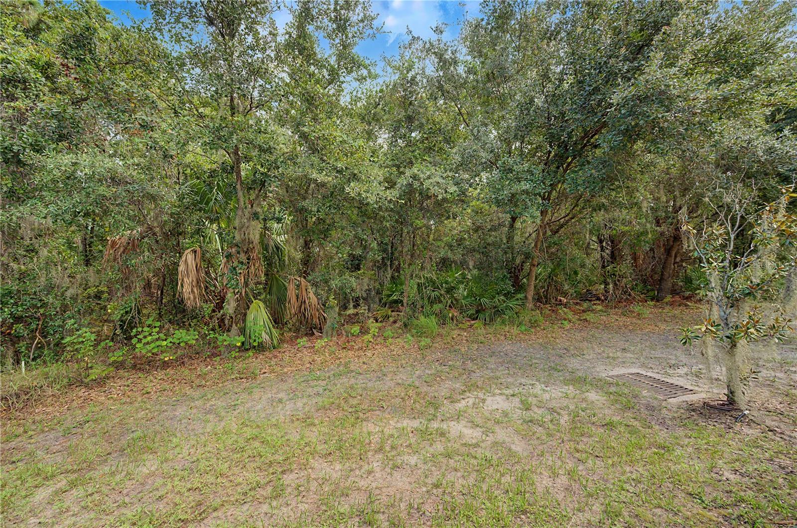 6914 Holly Heath Dr Property Photo 30