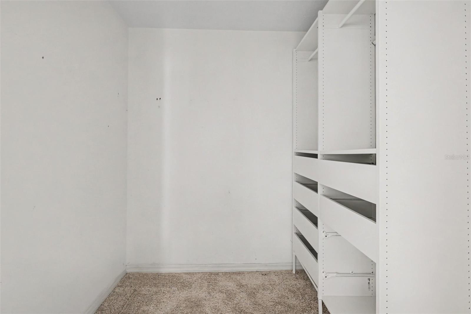 28809 Windover St Property Photo 15