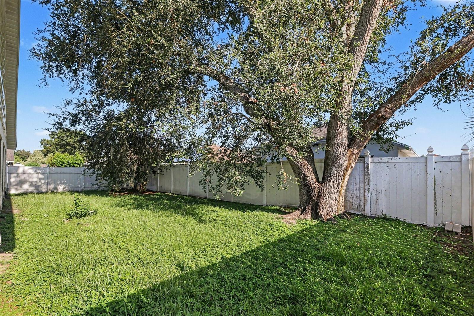 28809 Windover St Property Photo 24