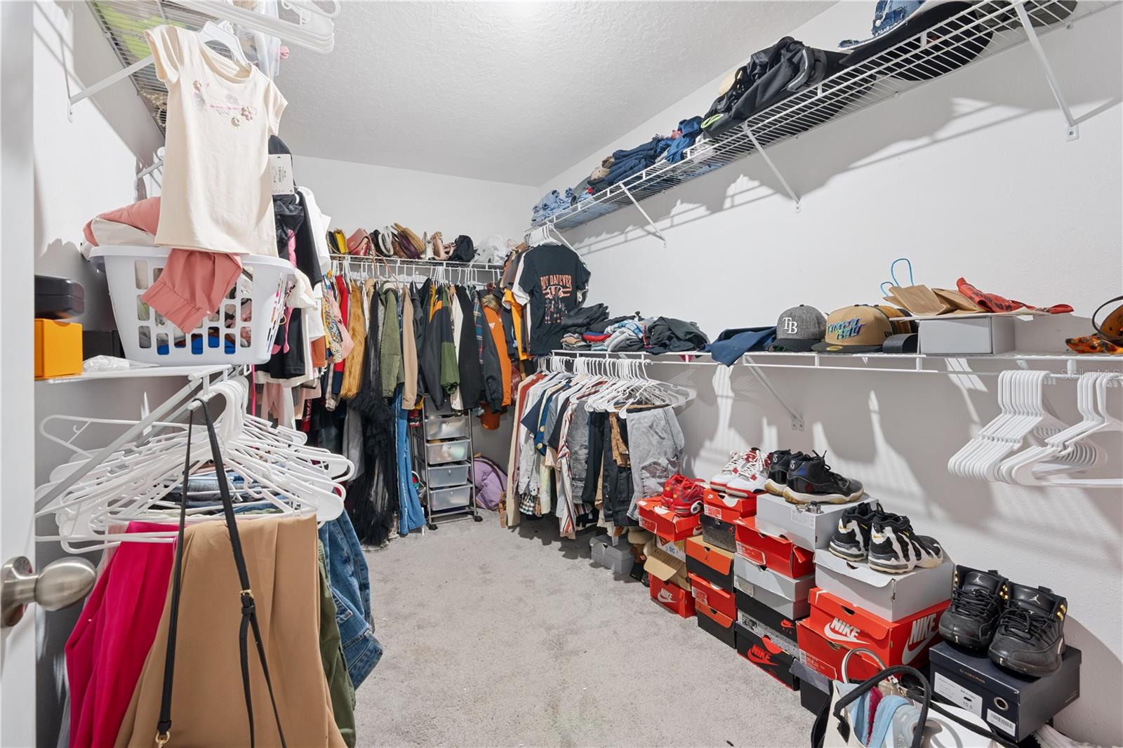 7420 Pearly Everlasting Ave Property Photo 28