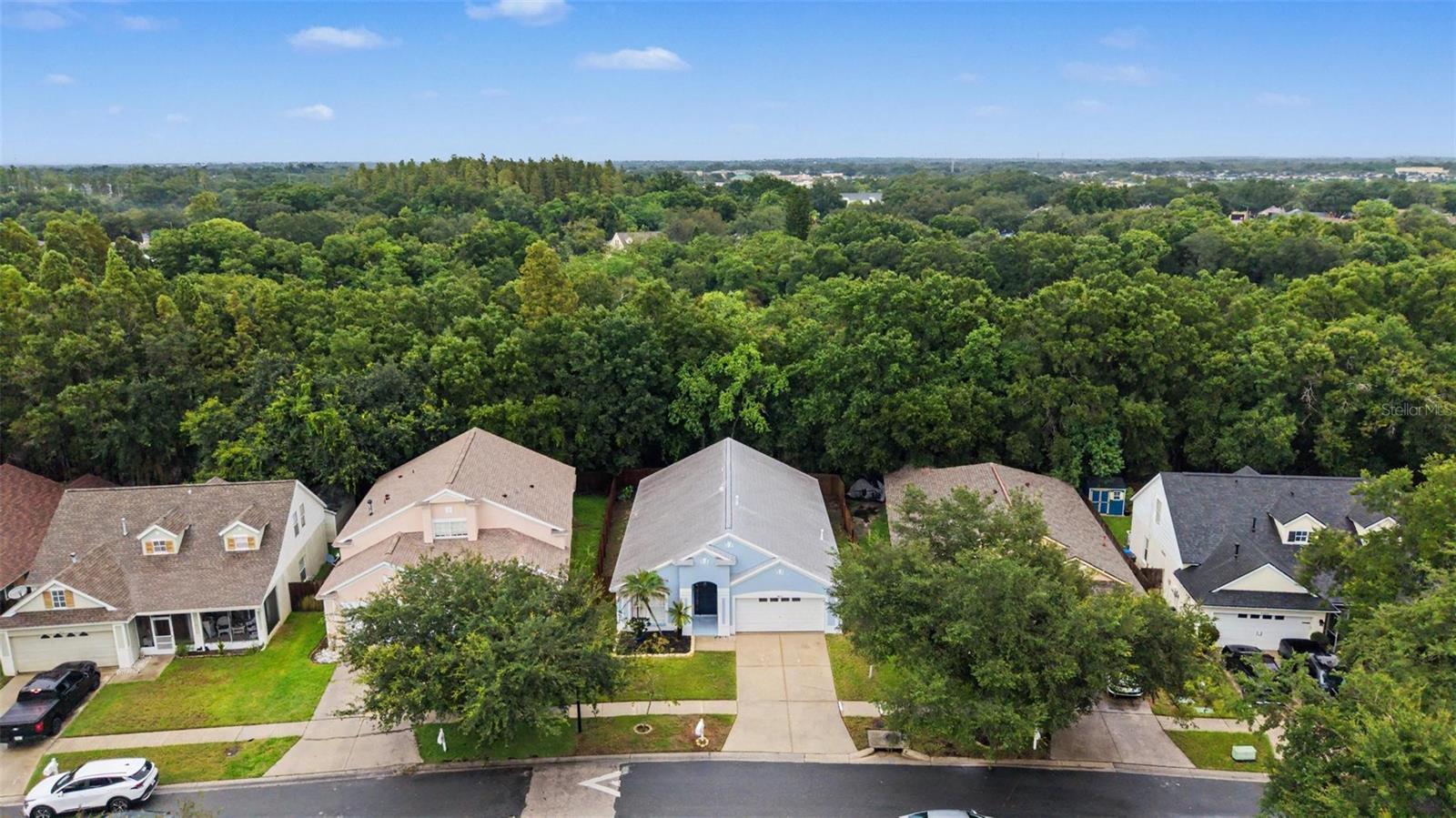 6222 Crickethollow Dr Property Photo 3