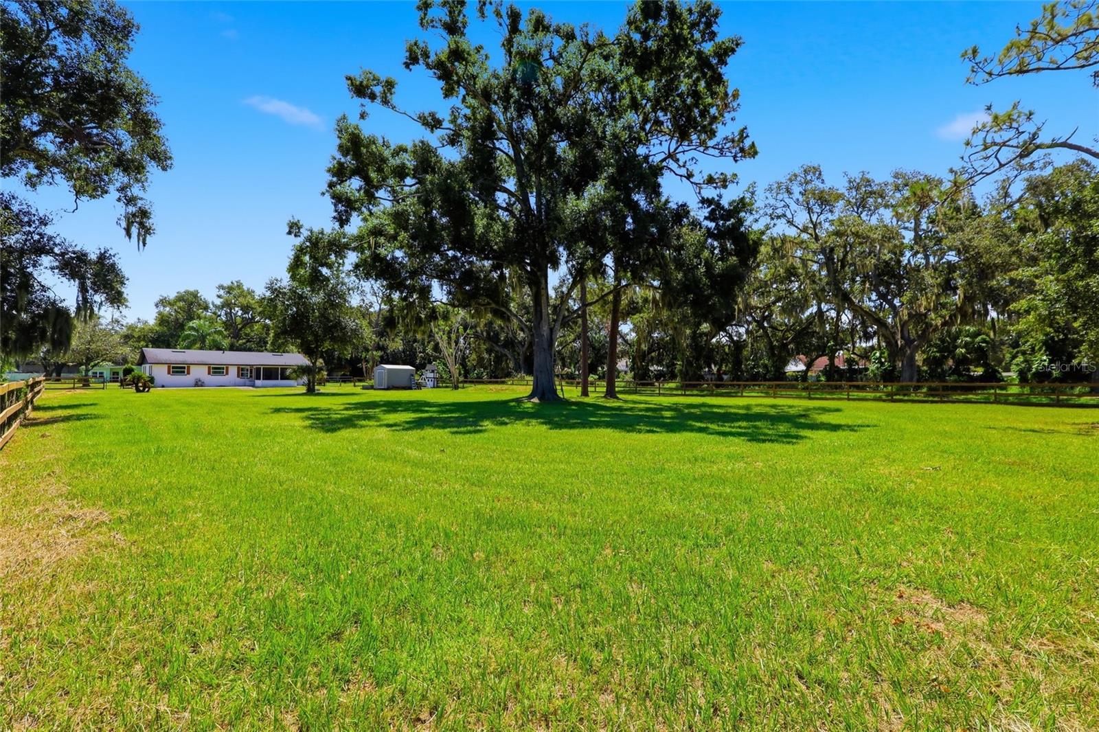 6509 Reed Dr Property Photo 30