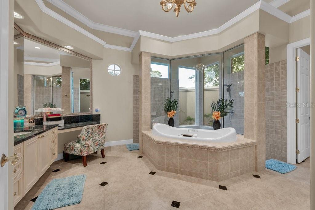 6217 Kingbird Manor Dr Property Photo 39