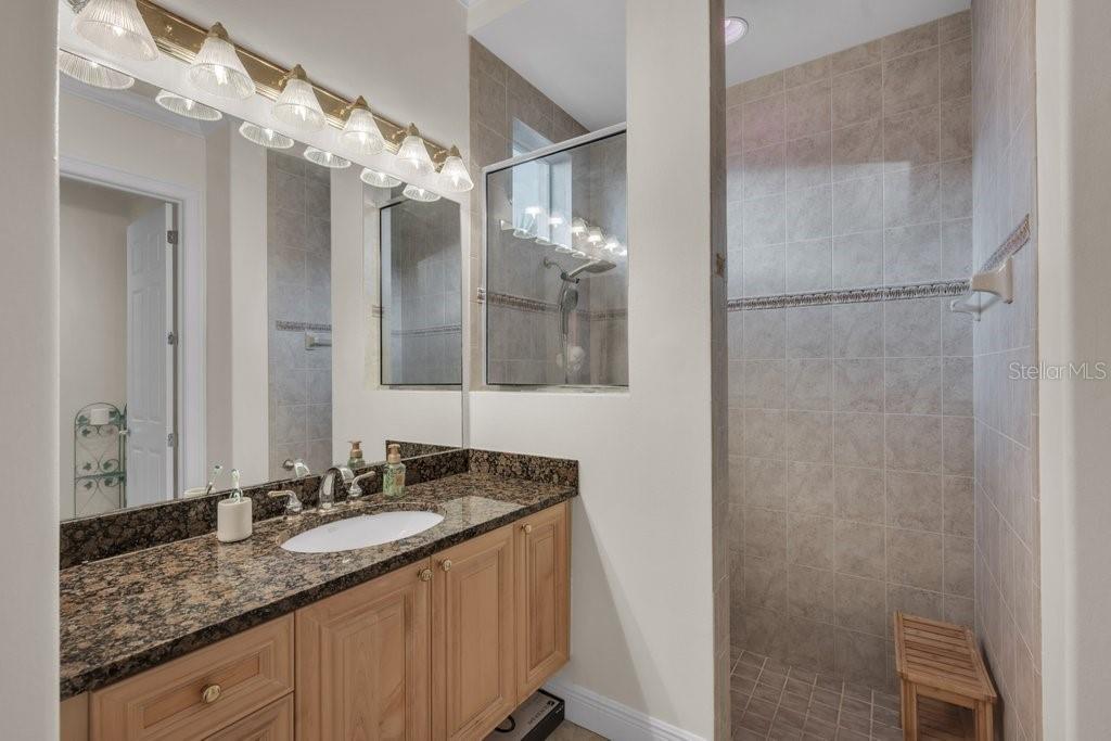 6217 Kingbird Manor Dr Property Photo 44