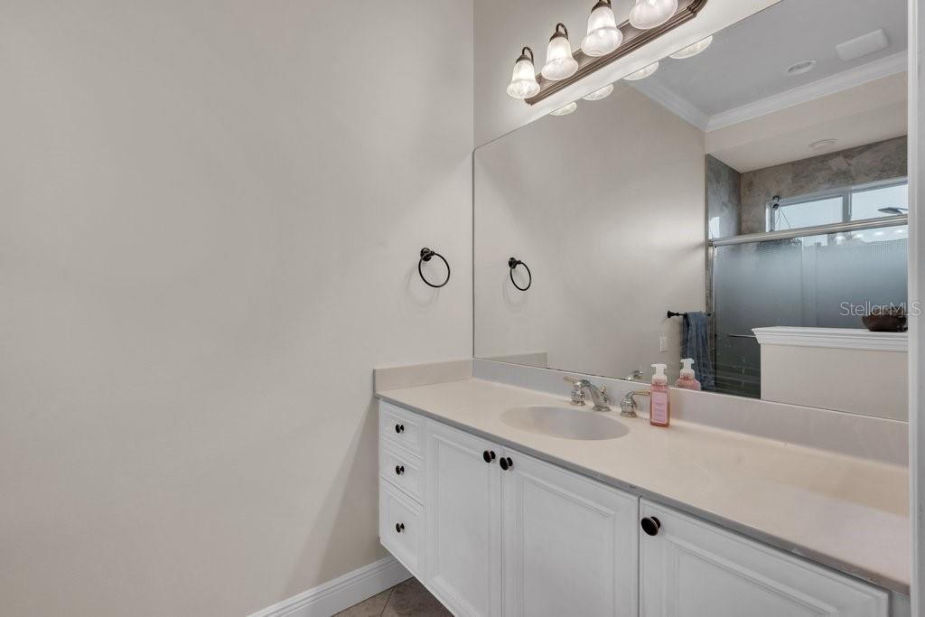 6217 Kingbird Manor Dr Property Photo 46