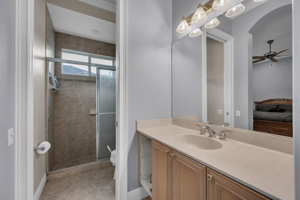 6217 Kingbird Manor Dr Property Photo 48