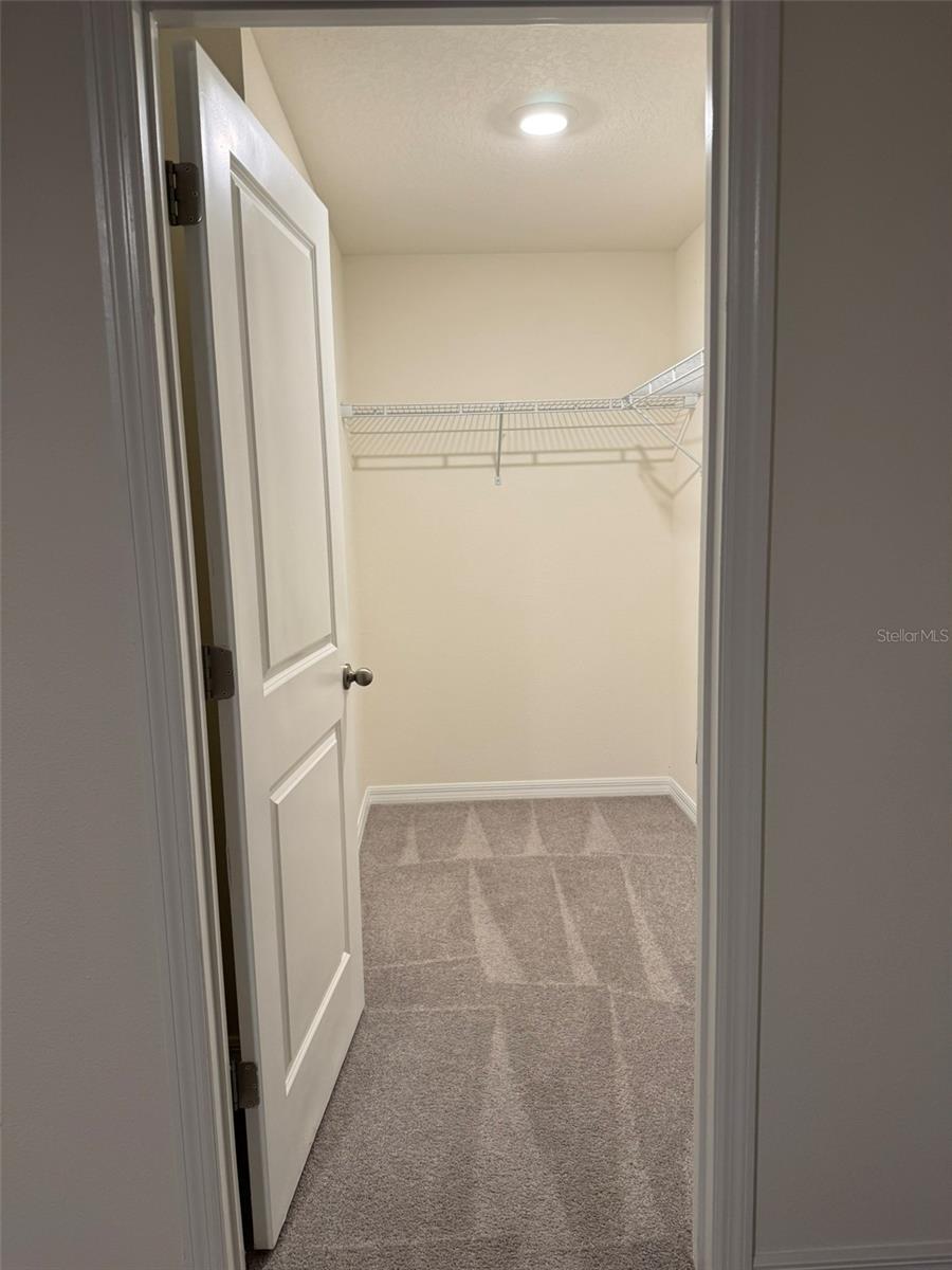 1663 Hazy Sea Dr Property Photo 22