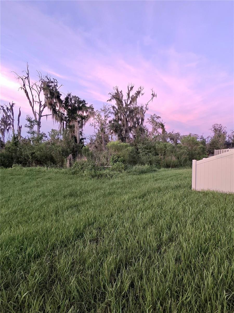 1663 Hazy Sea Dr Property Photo 33