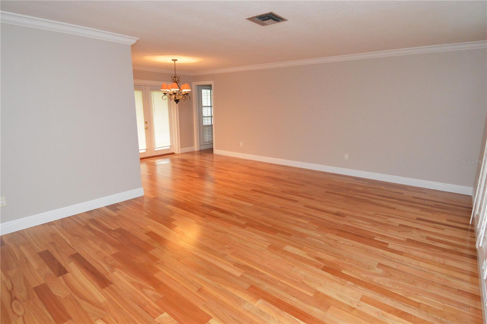 981 Damrosch St Property Photo 48