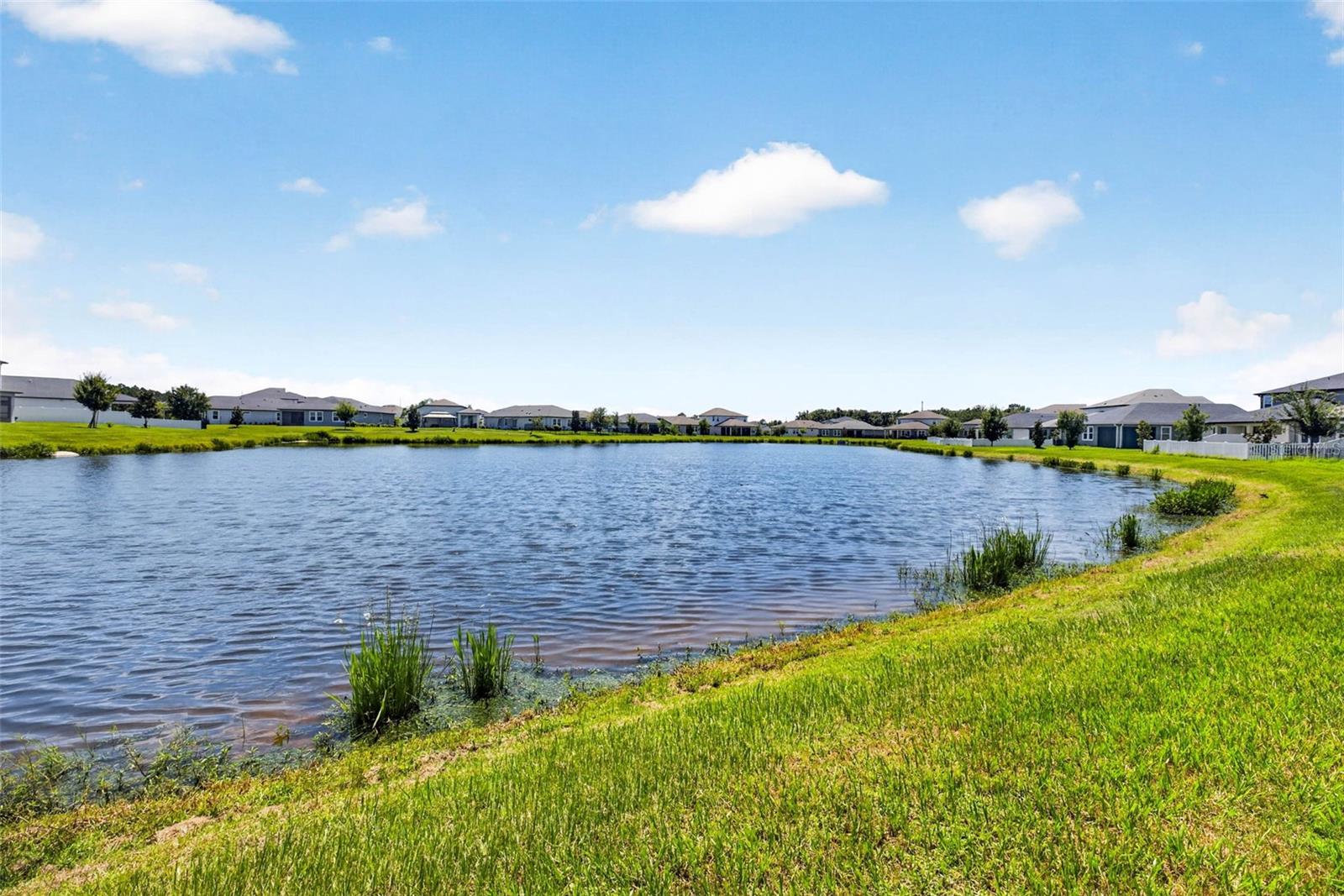 7182 Heron Walk Ln Property Photo 49