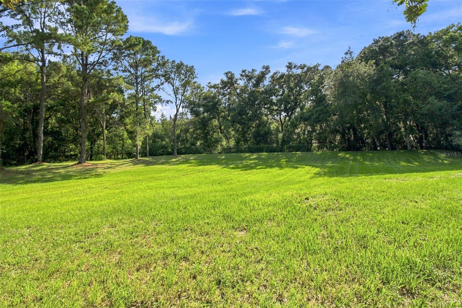 7233 Woodbrook Dr Property Photo 47