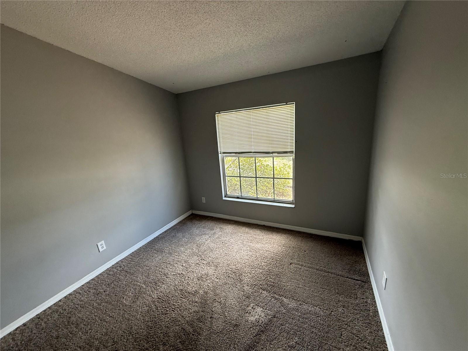 12803 Slippery Elm Ct Property Photo 13