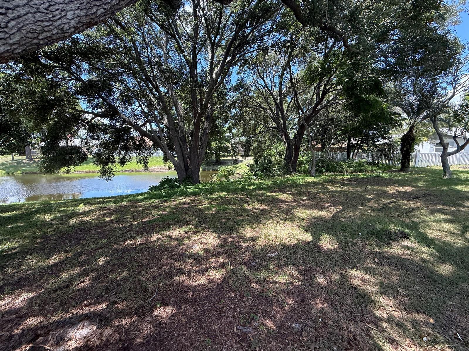12803 Slippery Elm Ct Property Photo 18