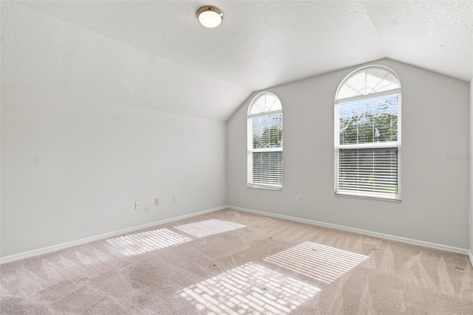 10260 Shadow Branch Dr Property Photo 31