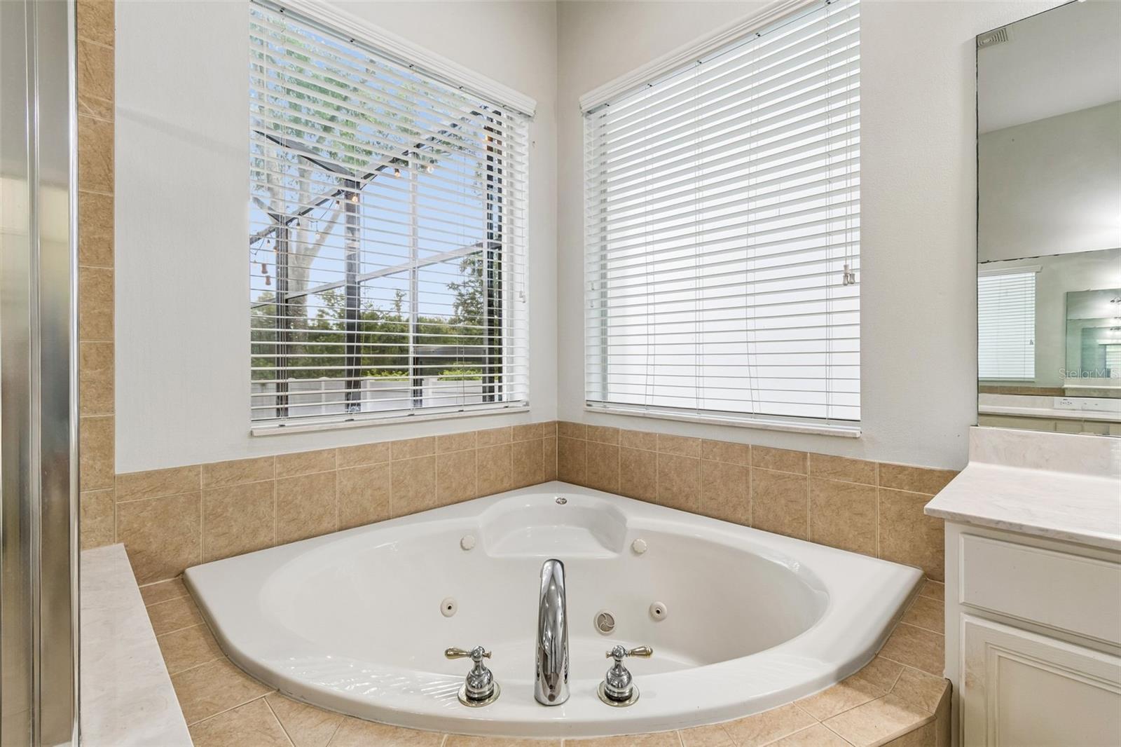 8523 Northton Groves Blvd Property Photo 41