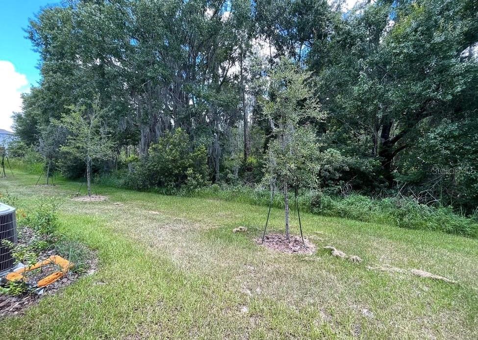 32867 Pez Landing Ln Property Photo 33