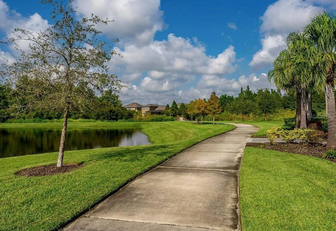32867 Pez Landing Ln Property Photo 44