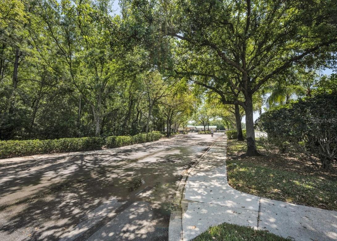 8013 Sutton Terrace Ln Property Photo 33