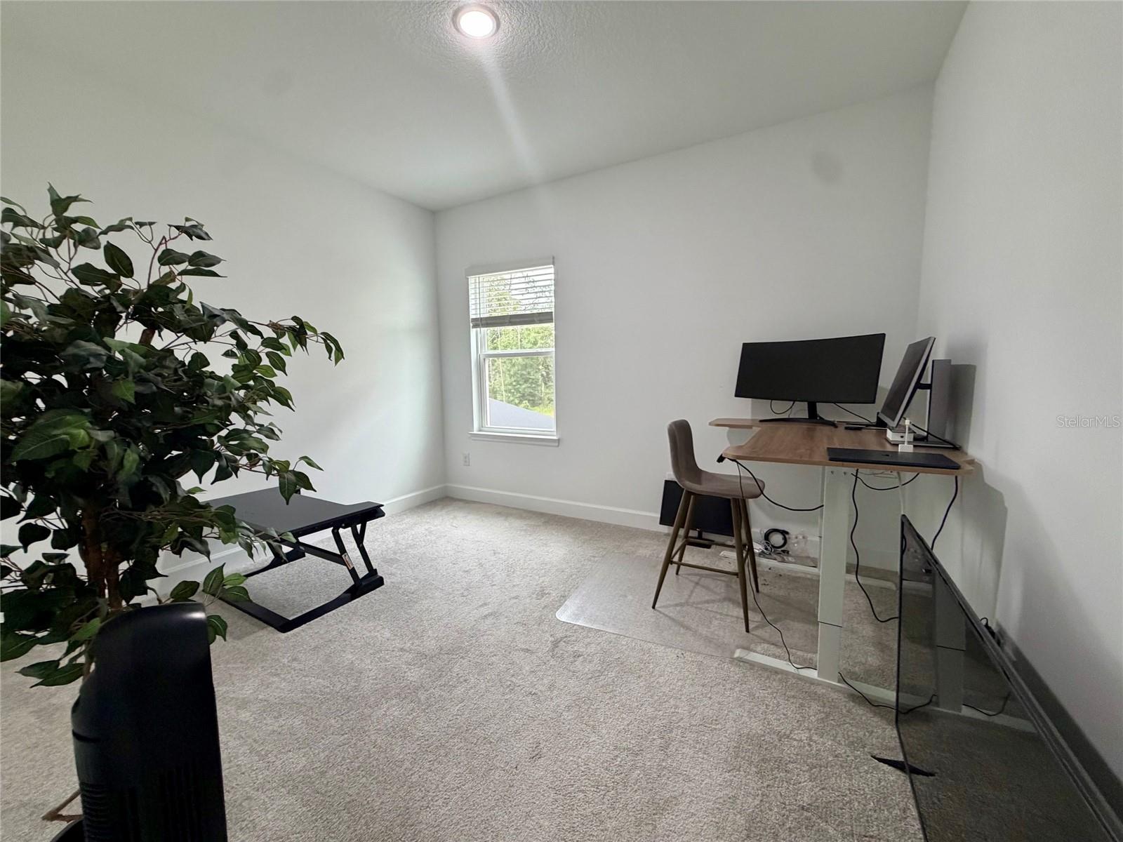 33901 Landsman Loop Property Photo 16