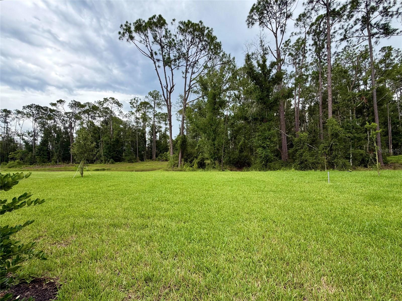 33901 Landsman Loop Property Photo 22
