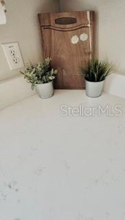 12253 Country White Cir Property Photo 13