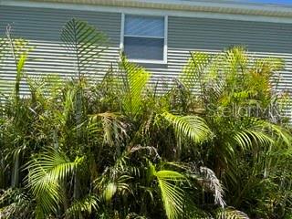 12253 Country White Cir Property Photo 34