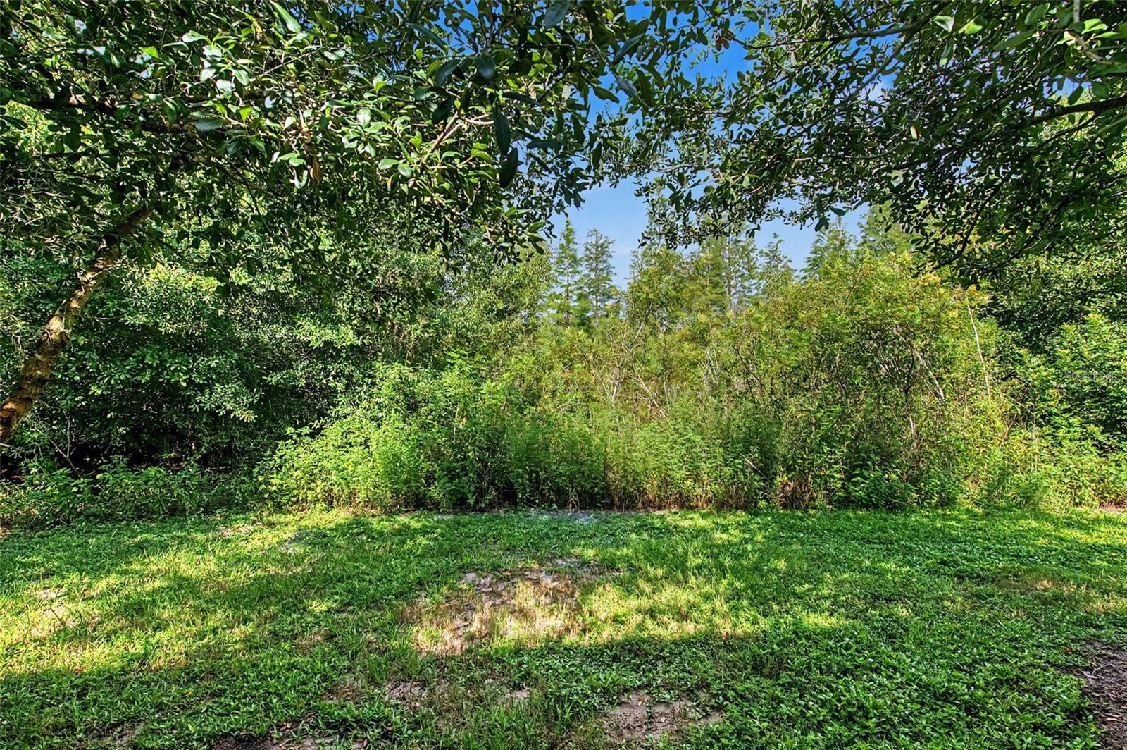 1599 Cassius St Property Photo 41