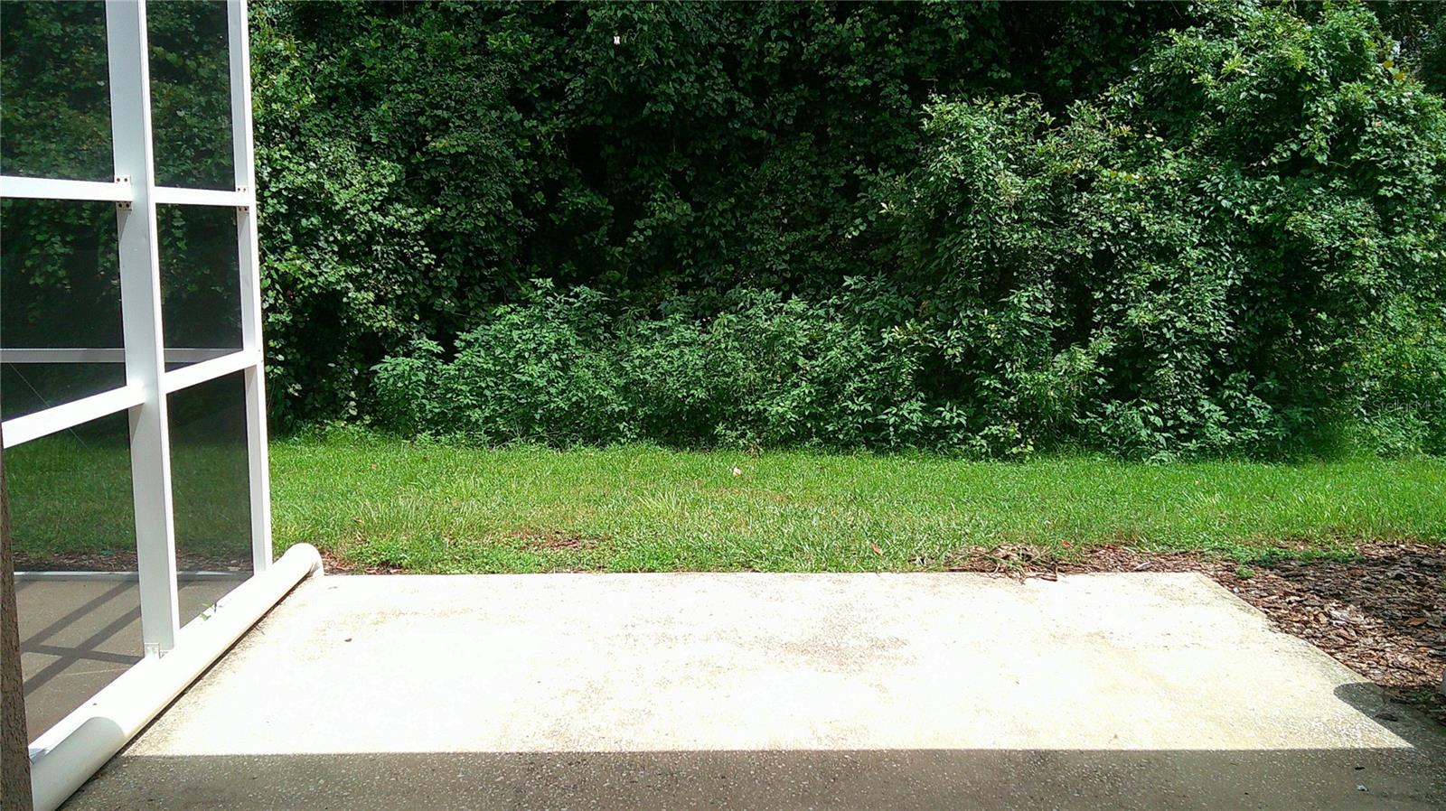 5718 Fishhawk Ridge Dr Property Photo 8