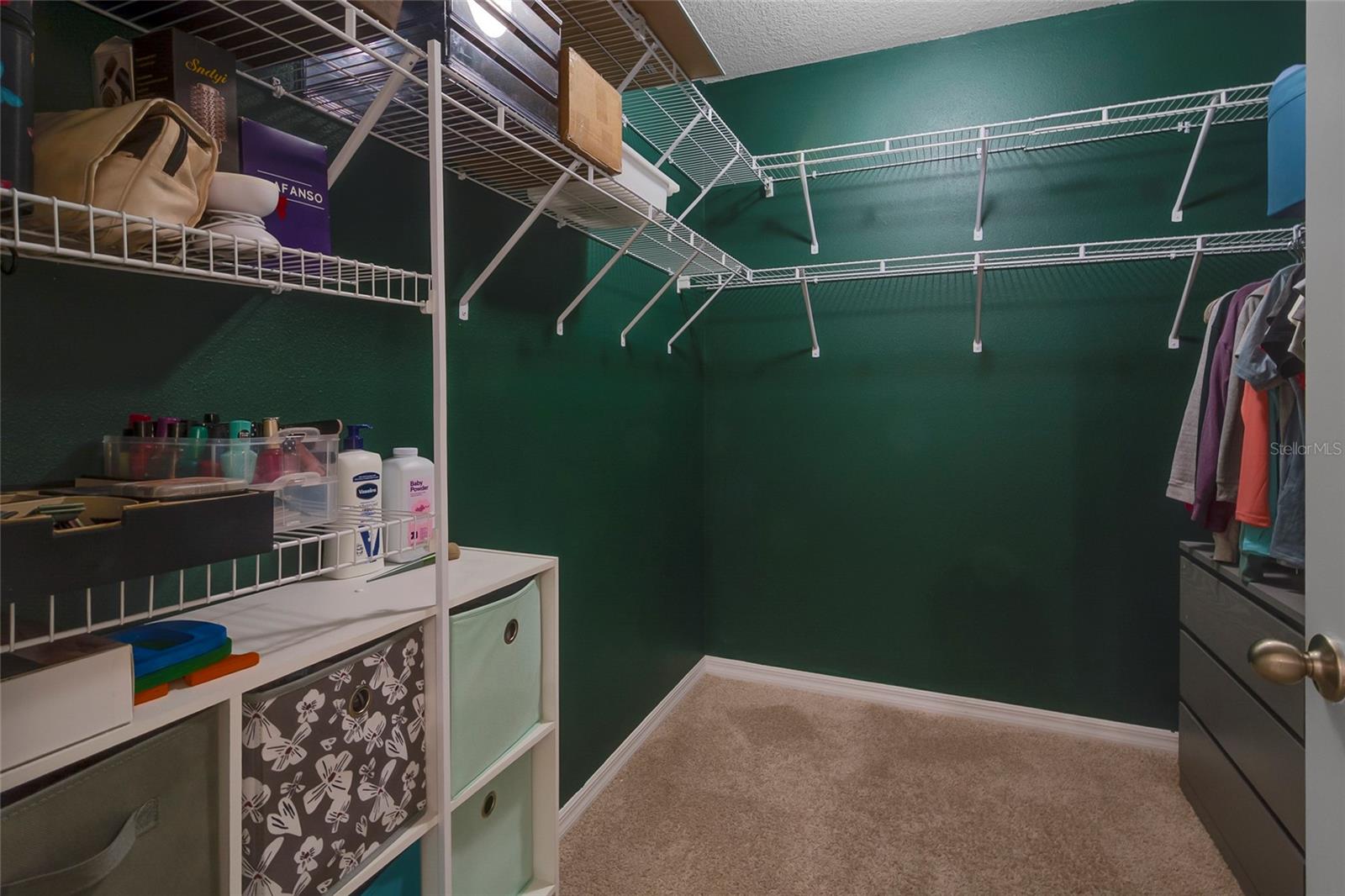 10213 Golden Light Ct Property Photo 17