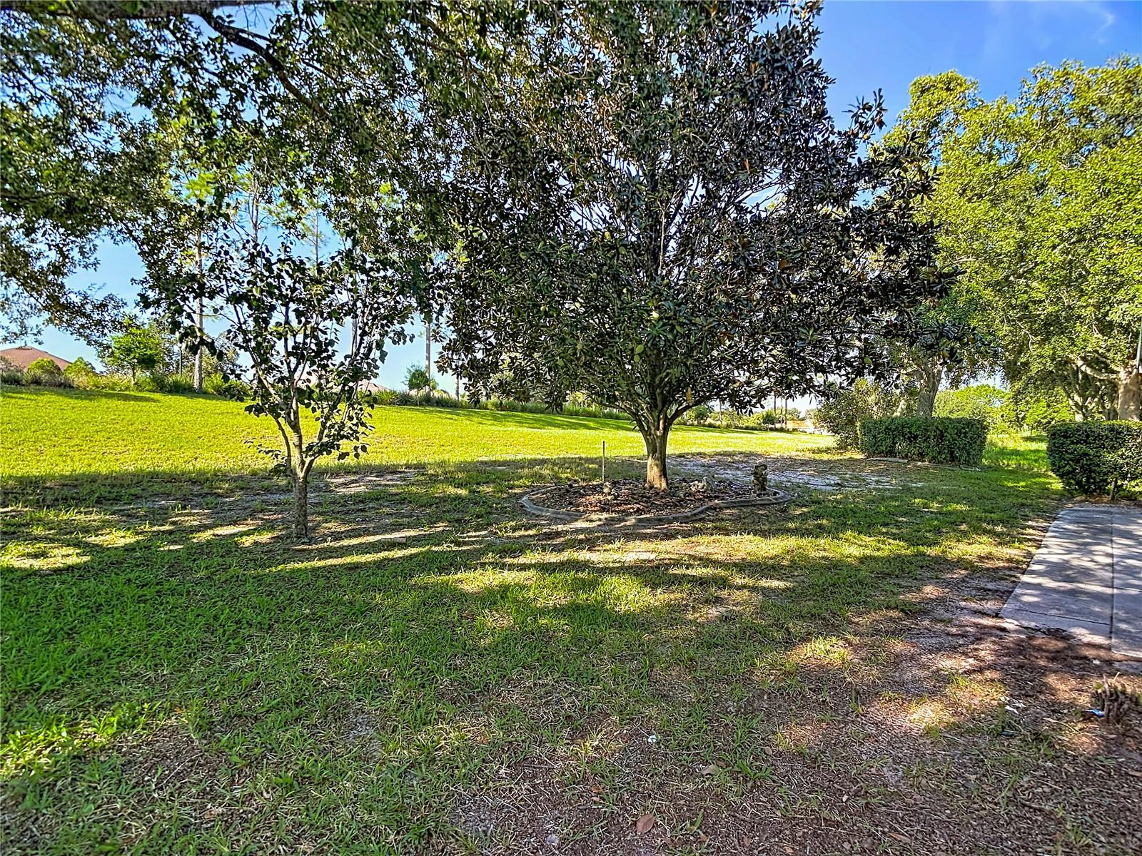 11368 Leeds Dr Property Photo 27