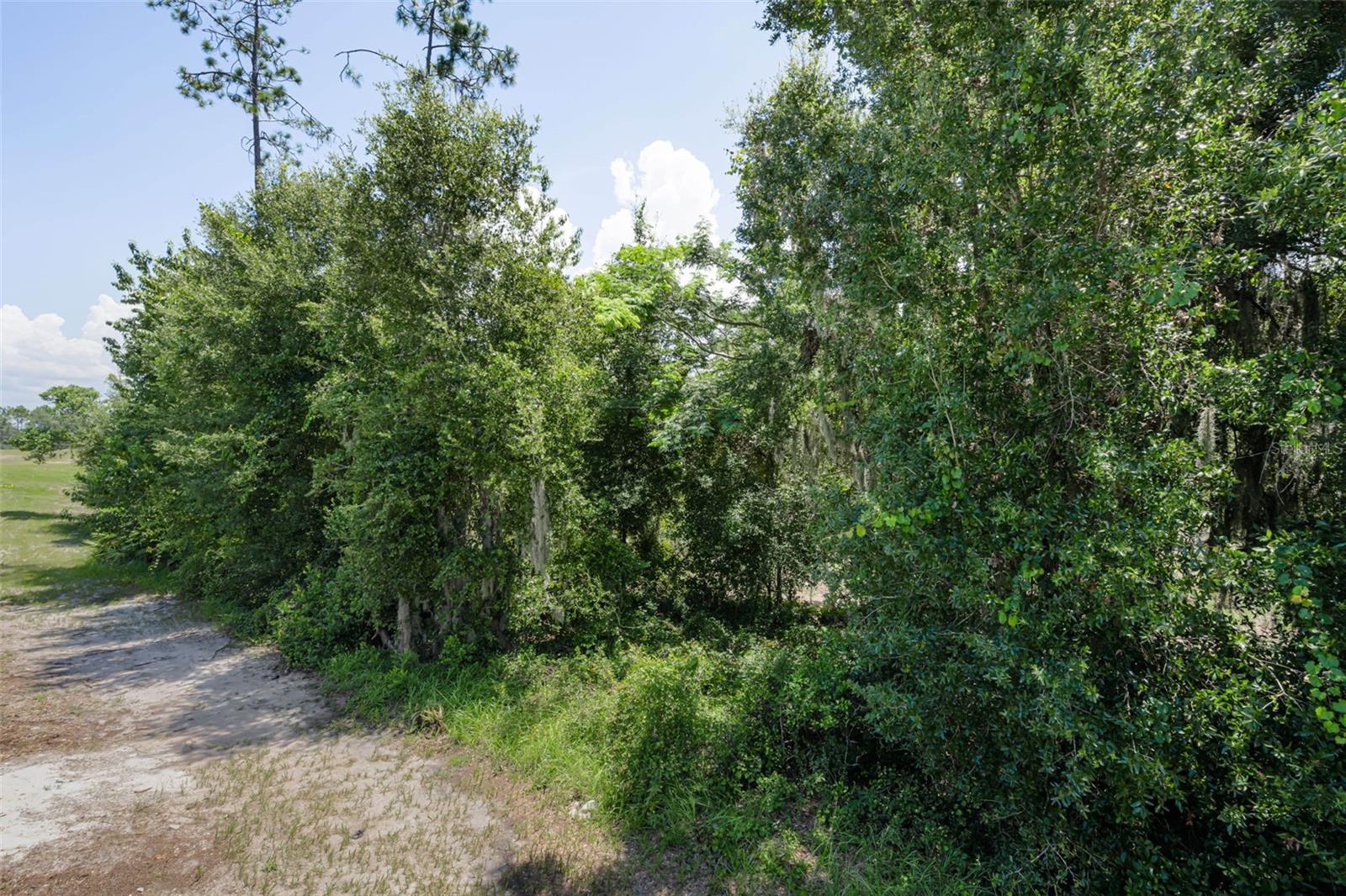 6780 Emerald Spring Loop Property Photo 48