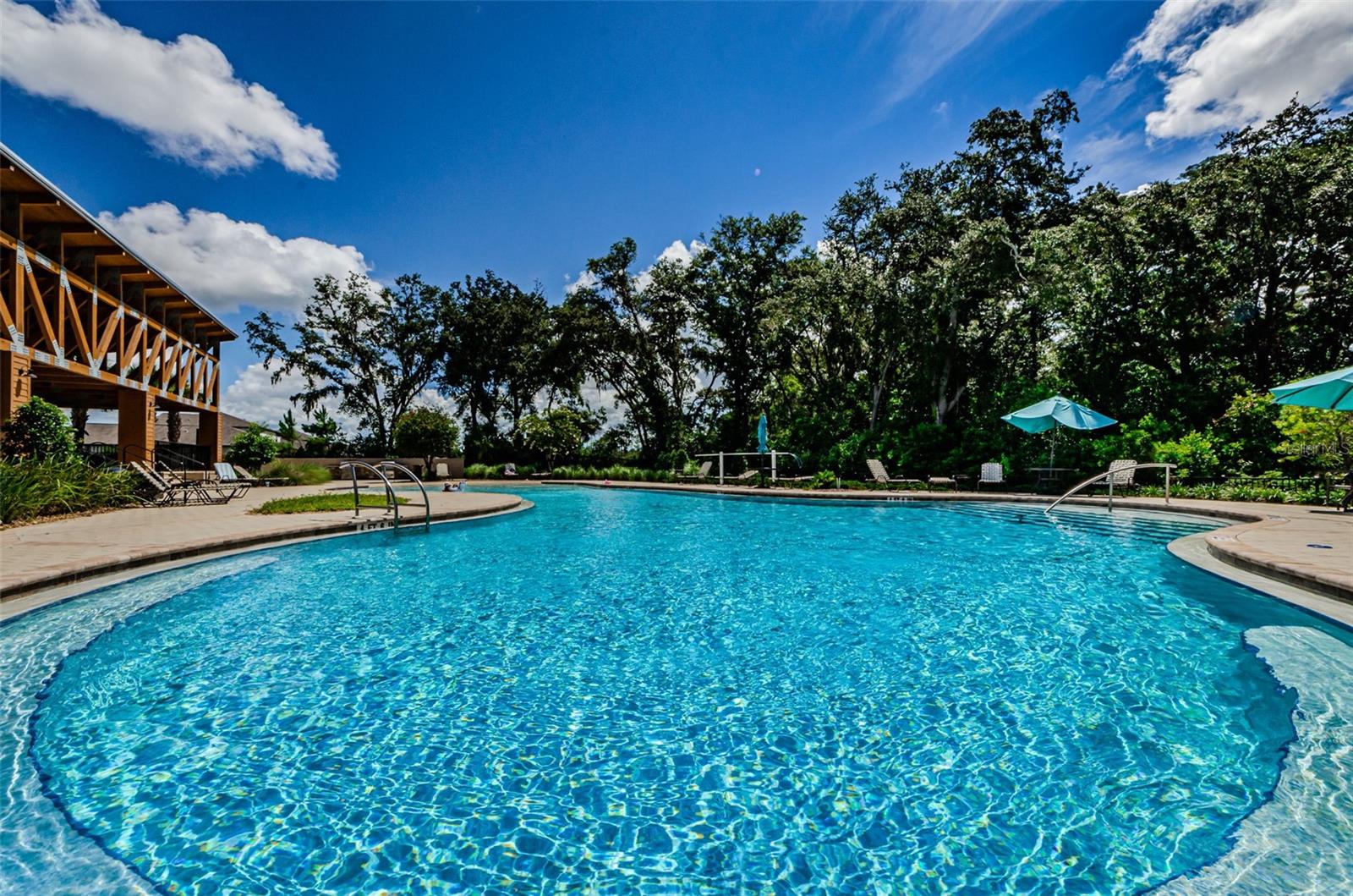 6780 Emerald Spring Loop Property Photo 63
